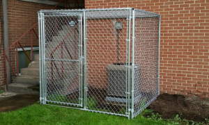 dog fence